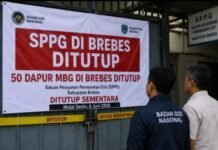 50 Dapur MBG Brebes Ditutup Paksa: Ribuan Siswa Tak Dapat Makan, Masalah Dana dan Standar Jadi Penyebab Utama 50-dapur-mbg-brebes-ditutup-paksa:-ribuan-siswa-tak-dapat-makan,-masalah-dana-dan-standar-jadi-penyebab-utama